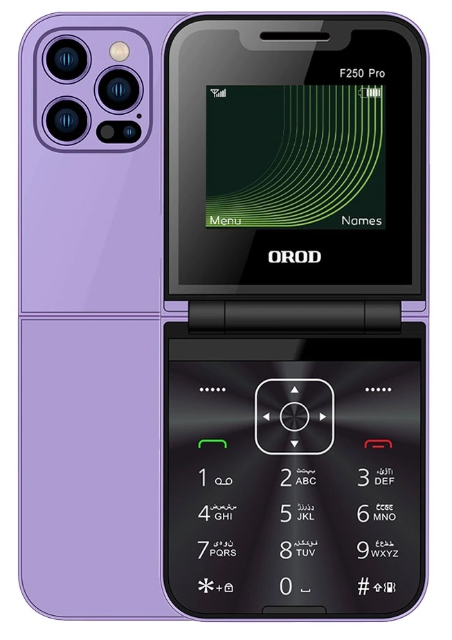 گوشی موبایل ارد مدل F250 Pro دو سیم کارت